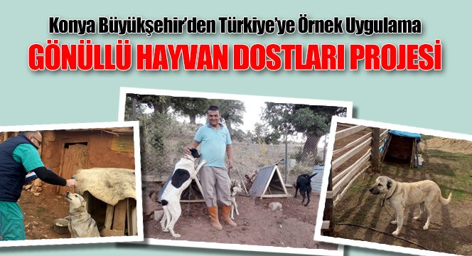 Türkiye`ye Örnek Uygulama: Gönüllü Hayvan Dostları Projesi