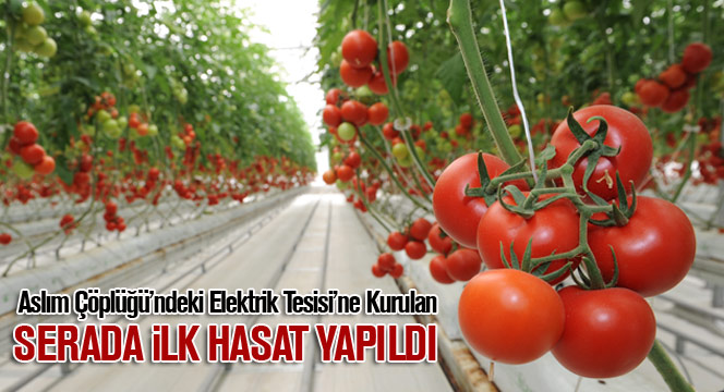 Aslım çöplüğü Aslım çöplüğü