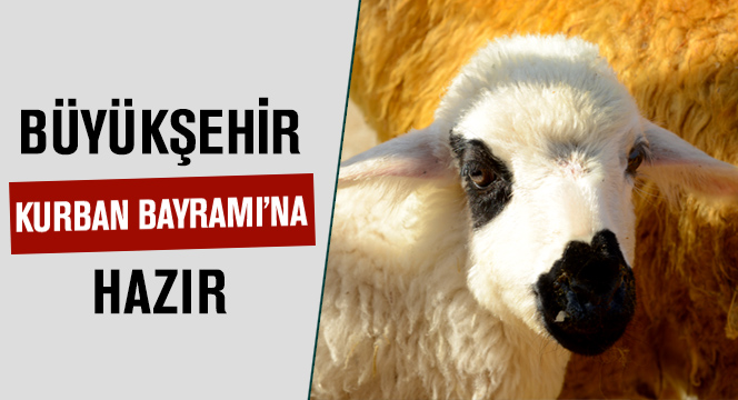 Büyükşehir Kurban Bayramı`na Hazır