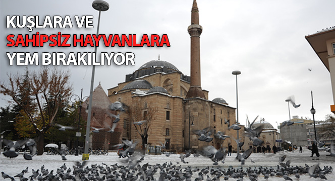 Kuşlara ve Sahipsiz Hayvanlara Yem Bırakıldı