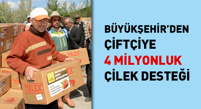 Büyükşehir`den Çiftçiye 4 Milyon Liralık Çilek Desteği