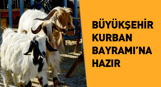 Büyükşehir Belediyesi Kurban Bayramı`na Hazır