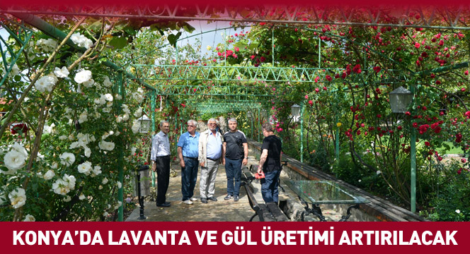 Konya`da Lavanta ve Gül Üretimi Artırılacak