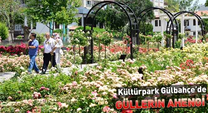 Kültürpark Gülbahçe’de Güllerin Ahengi