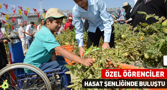 Özel Öğrenciler Hasat Şenliğinde Buluştu