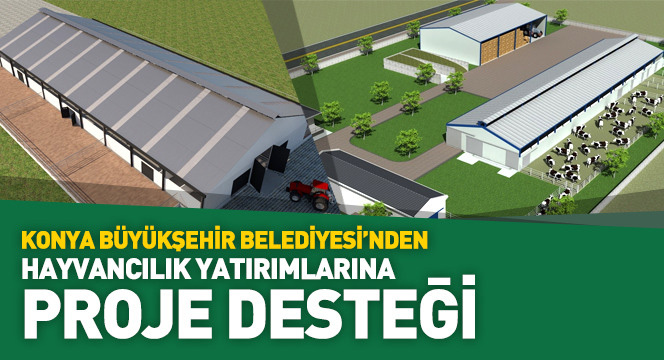 Hayvancılık Yatırımlarına Proje Desteği