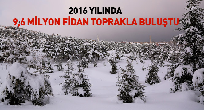 2016`da 9,6 Milyon Fidan Toprakla Buluştu