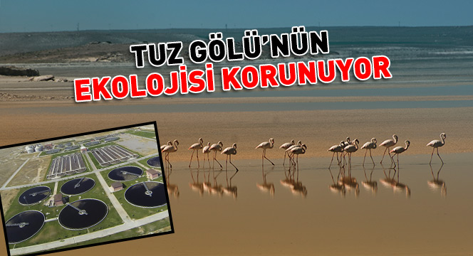 Tuz Gölü`nün Ekolojisi Korunuyor