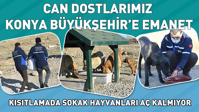 Can Dostlarımız Konya Büyükşehir’e Emanet