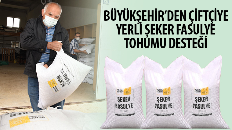 Büyükşehir’den Çiftçiye Yerli Şeker Fasulye Tohumu Desteği