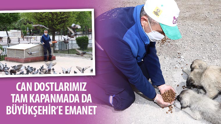 Can Dostlarımız Tam Kapanmada da Büyükşehir’e Emanet